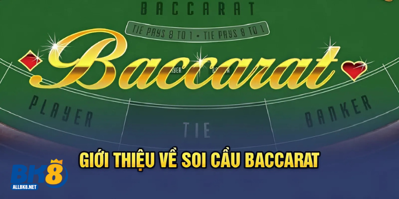 Giới thiệu chung về soi cầu baccarat trên BK8